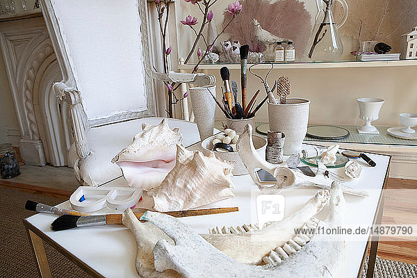Interior stylist's table with seashells  brushes and animal bones