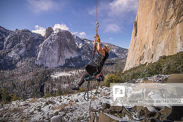 Big wall climbing  Yosemite National Park  California  USA