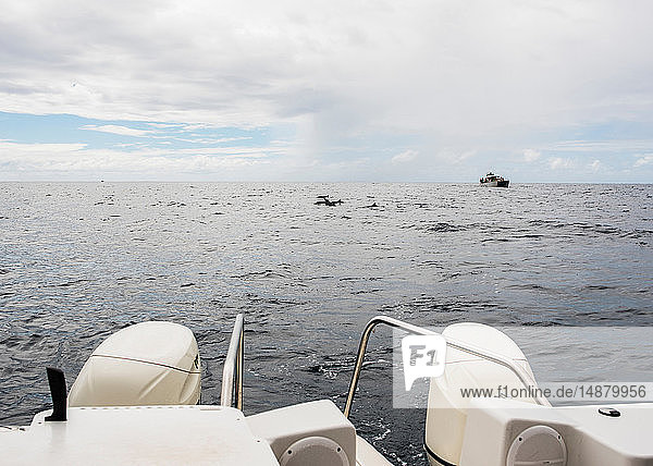 Motorboot auf See  Küste von Na Pali  Kauai  Hawaii