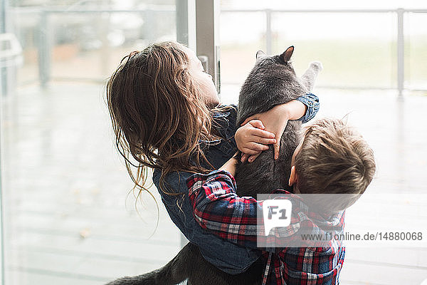 Kinder spielen zu Hause mit Katze