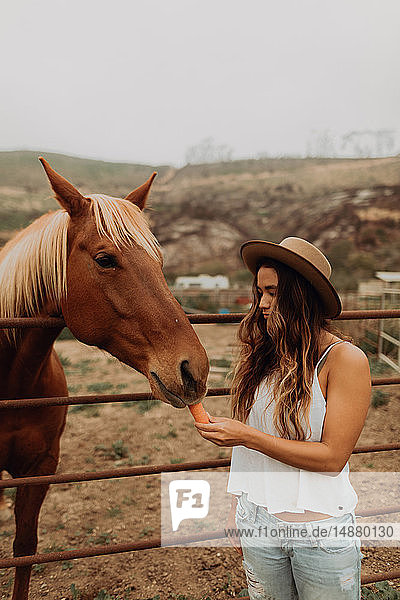 Junge Frau mit Filzhut  die Karotte an Pferd verfüttert  Jalama  Kalifornien  USA