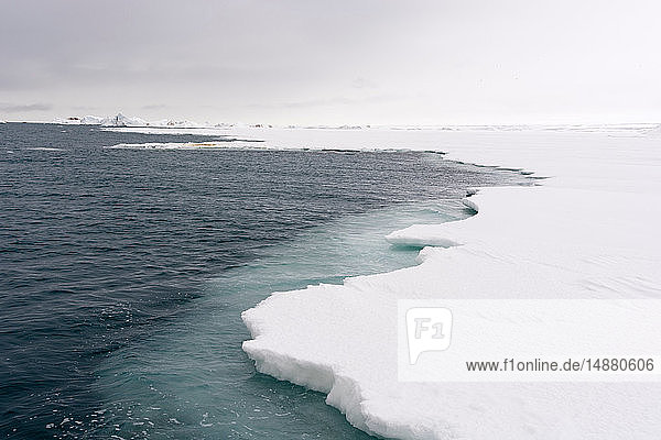 Sea ice on arctic ocean  Brasvellbreen. south of Austfonna ice cap  Nordaustlandet  Svalbard  Norway