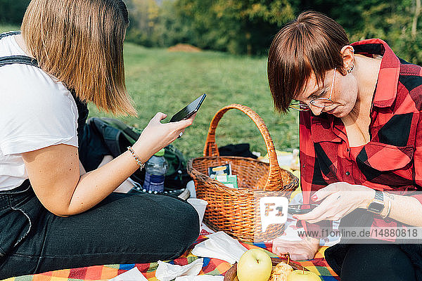 Friends texting at picnic  Rezzago  Lombardy  Italy