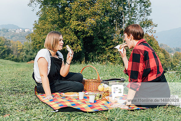 Friends having picnic  Rezzago  Lombardy  Italy