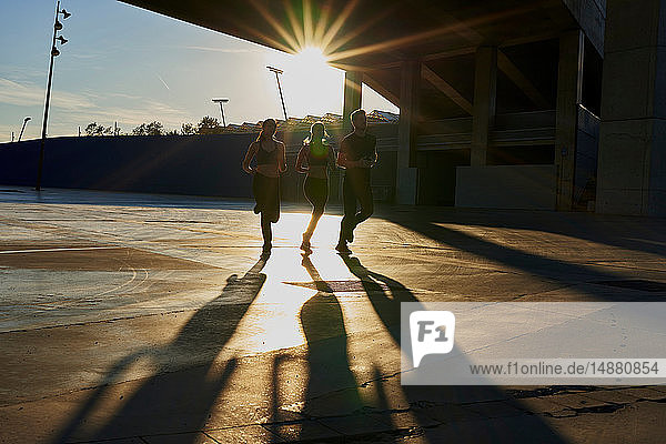 Friends jogging in sports stadium at sunset