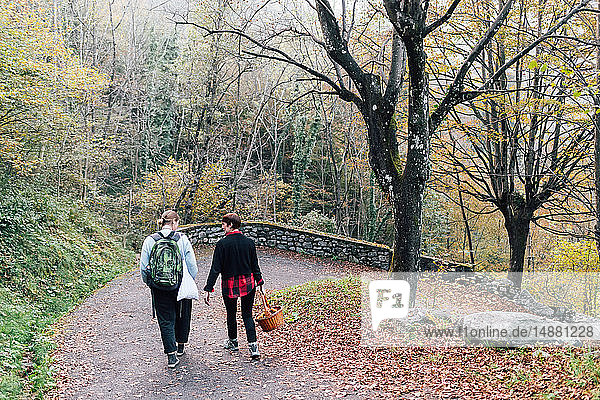 Freunde wandern auf dem Land  Rezzago  Lombardei  Italien