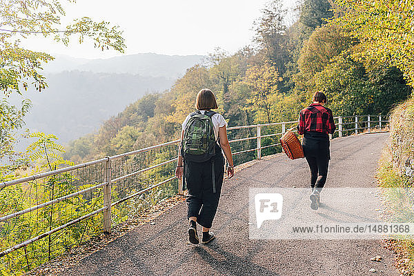 Friends on hillside road  Rezzago  Lombardy  Italy