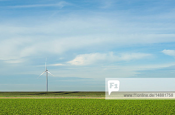 Moderne Windturbinen on- und offshore  Creil  Flevoland  Niederlande