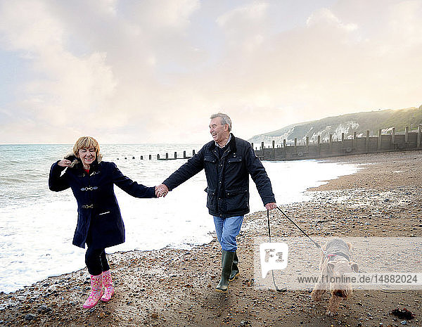 Romantisches älteres Paar  das am Strand Händchen hält und mit dem Hund spazieren geht  Eastbourne  East Sussex  England