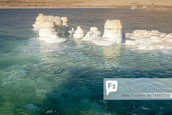 Kristallisierte Salzgesteine  Totes Meer  Israel