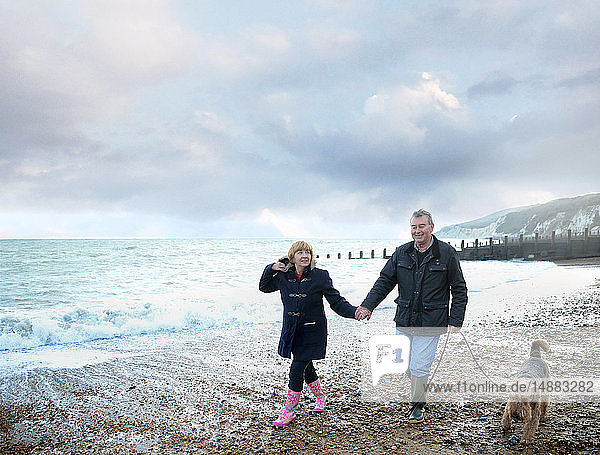 Romantisches älteres Paar  das am Strand Händchen hält und mit dem Hund spazieren geht  Eastbourne  East Sussex  England