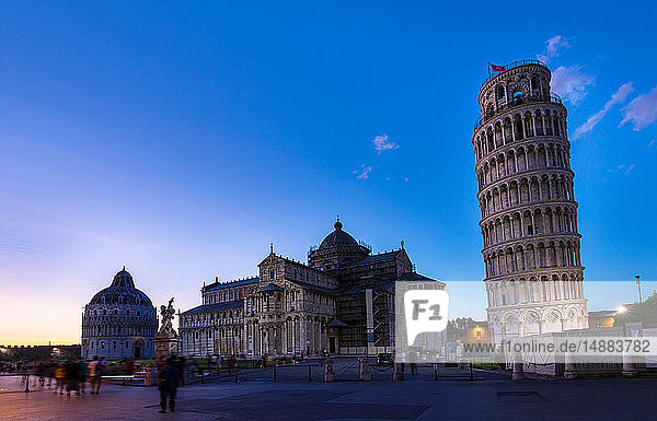 Kathedrale und schiefer Turm von Pisa  Pisa  Italien