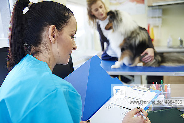 Female veterinarian reading medical documents of a dog in veterinary surgery