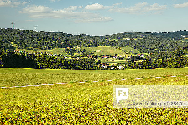 Austria  Upper Austria  Bad Leonfelden  Muehlviertel  Sternwald
