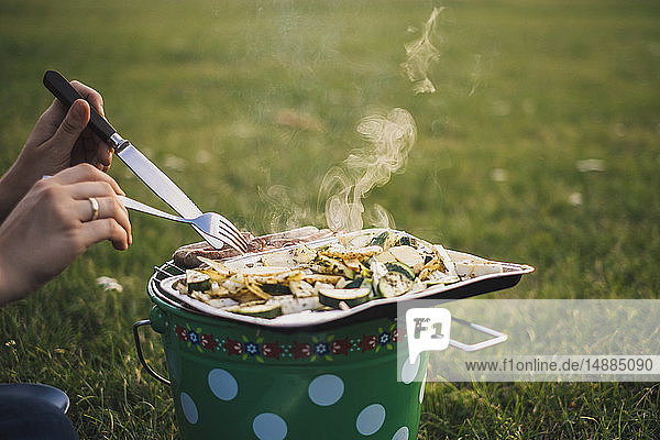Woman eating barbecued sausages and vegetables on a meadow  partial view