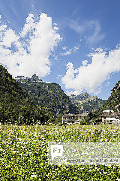 Schweiz  Tessin  Dorf Sonogno  Alpweide