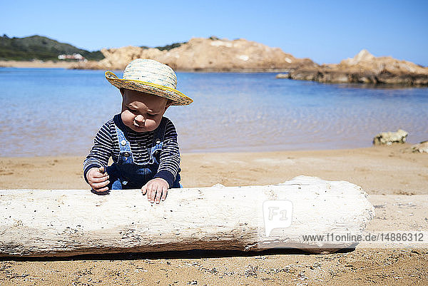 Spain  Menorca  toddler playing with deadwood on the beach