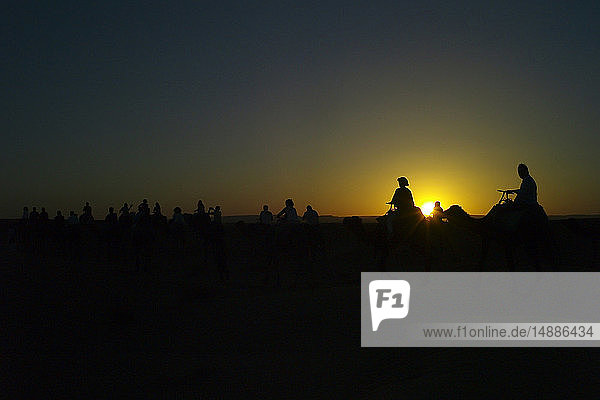 Morocco  people on camels at sunset