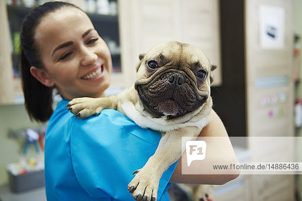 Smiling female veterinarian holding dog in veterinary surgery