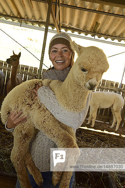 Porträt einer lächelnden  reifen Frau  die junges Alpaka auf dem Arm trägt