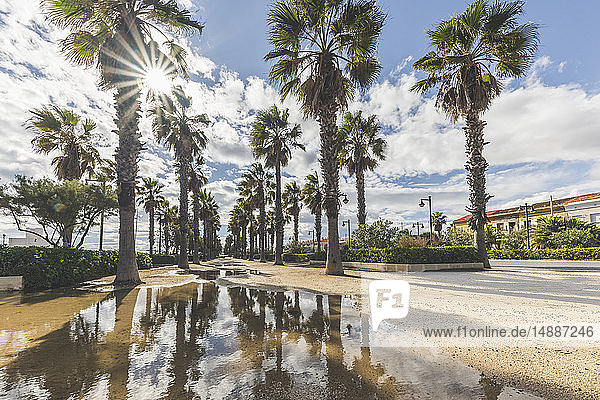 Spanien  Valencia  El Cabanyal  Blick auf die palmengesäumte Promenade von El Micalet