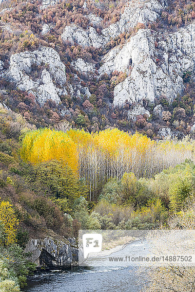 Wunderschöne Herbstfarben in der Iskar-Schlucht  Bulgarien