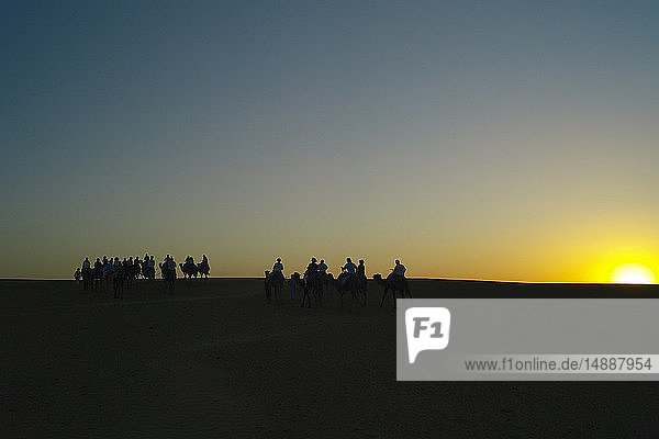 Marokko  Menschen auf Kamelen bei Sonnenuntergang