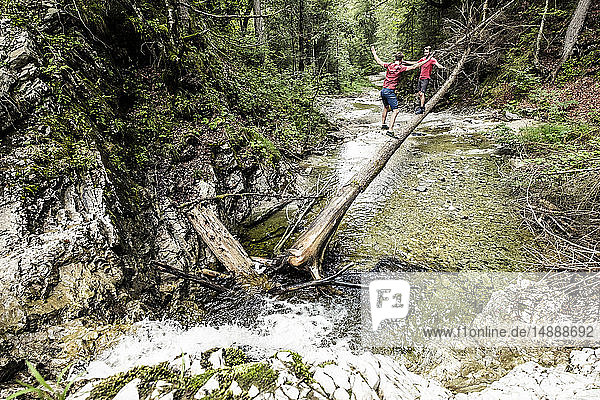 Germany  Bavaria  Upper Bavaria  lake Walchen  two young men are crossing a torrent on a tree trunk  twins