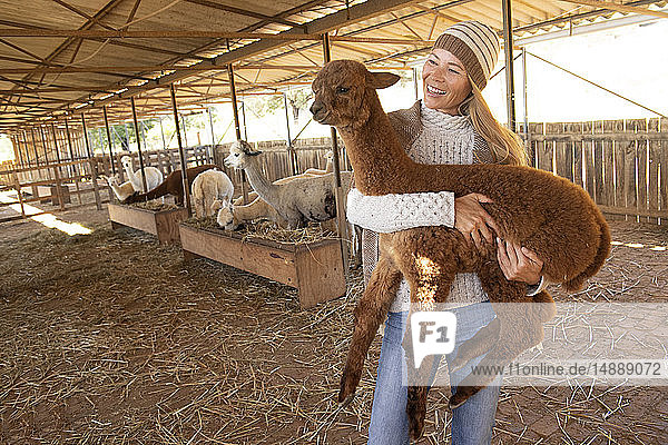 Porträt einer lächelnden reifen Frau  die junges Alpaka auf dem Arm trägt