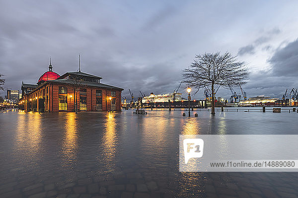 Germany Hamburg Altona fish market at high water