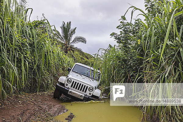 USA  Hawaii  Kauai  off-road vehicle on muddy dirt road  puddle