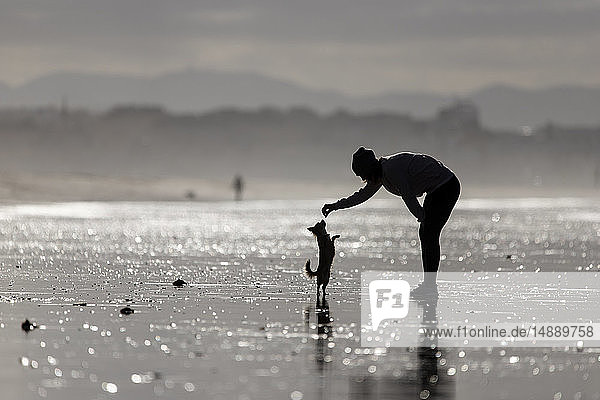 Spanien  Tarifa  Silhouette einer Frau  die mit ihrem kleinen Hund am Strand spielt