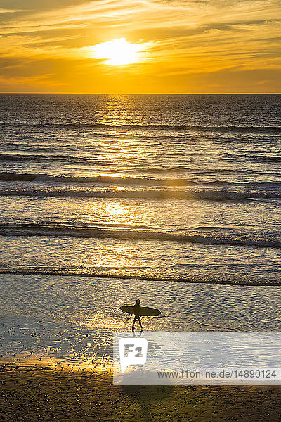 USA  California  Del Mar  female surfer at the beach at sunset