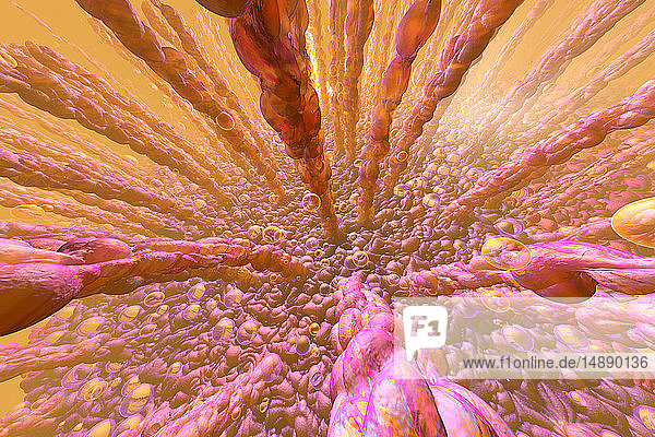 3D Rendered Illustration  Visualisierung der menschlichen Darmzotten und des Stoffwechsels