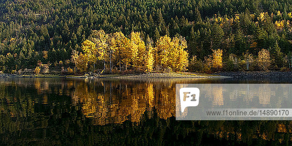 Kanada  Britisch-Kolumbien  Shuswap Lake im Herbst