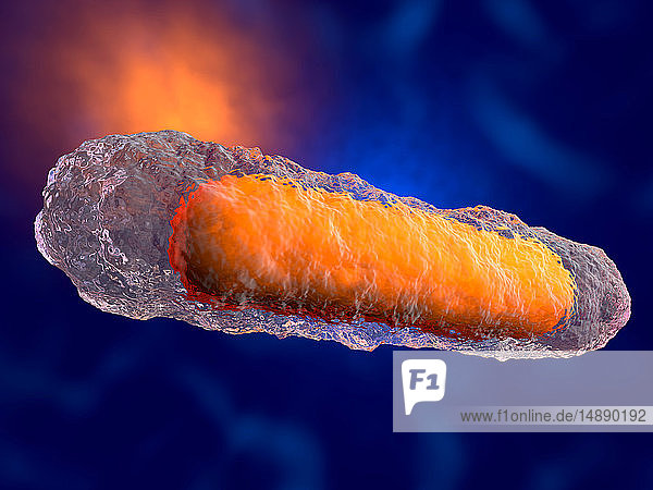 3D-gerenderte Illustration eines generischen Bakteriums