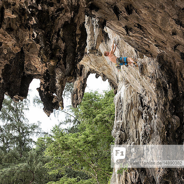 Thailand Krabi Lao Liang barbusiger Kletterer in Felswand
