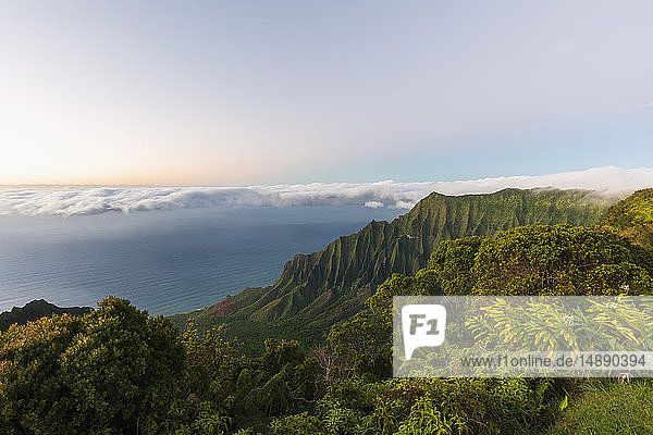USA  Hawaii  Koke'e State Park  Koke'e State Park  Blick auf das Kalalau-Tal