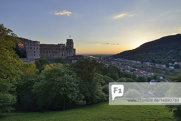 Heidelberger Schloss mit Neckar und Alter Brücke  Bade. Württemberg  Deutschland