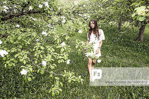 Junge Frau in weißem Kleid geht barfuß im Garten mit blühenden Apfelbäumen