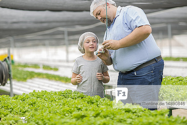 Gewächshausarbeiter und Tochter schauen sich Pflanzen an