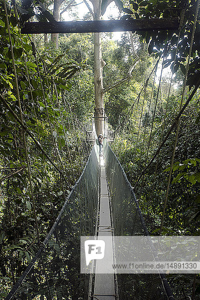Malaysia  Borneo  Sabah  Kinabalu Park  Fotografin beim Canopy Walk