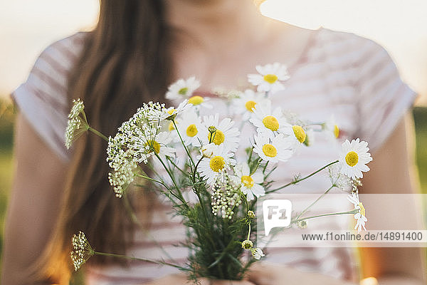 Woman holding bunch of picked white wildflowers  close-up