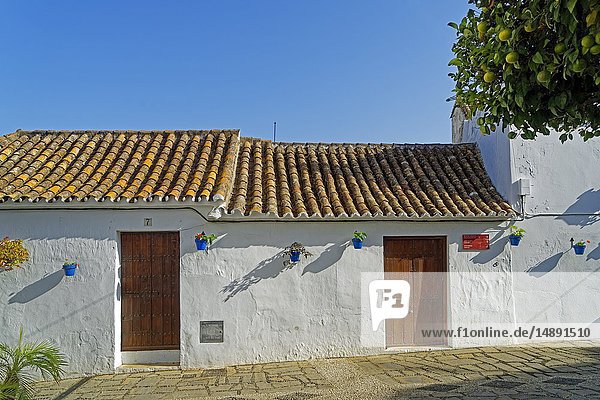 Häuser  Calle Sirena  Estepona  Provinz Malaga  Spanien  Europa