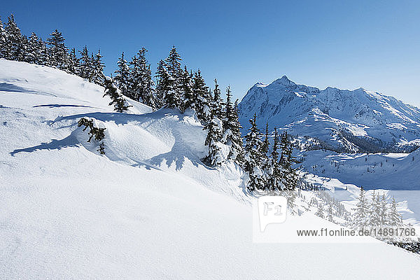 Mount Baker Skigebiet im Bundesstaat Washington  USA