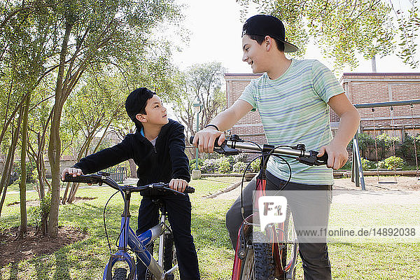 Brothers with bicycles in park