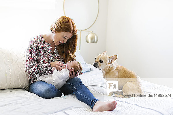 Hund sitzt neben einer Frau  die ihren neugeborenen Sohn im Bett hält
