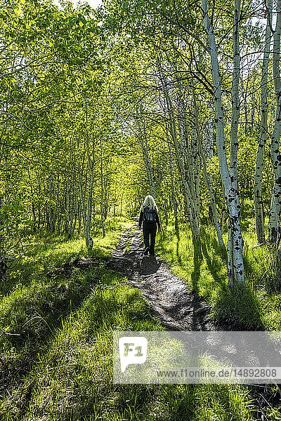 Frau beim Wandern in Sun Valley  Idaho  USA