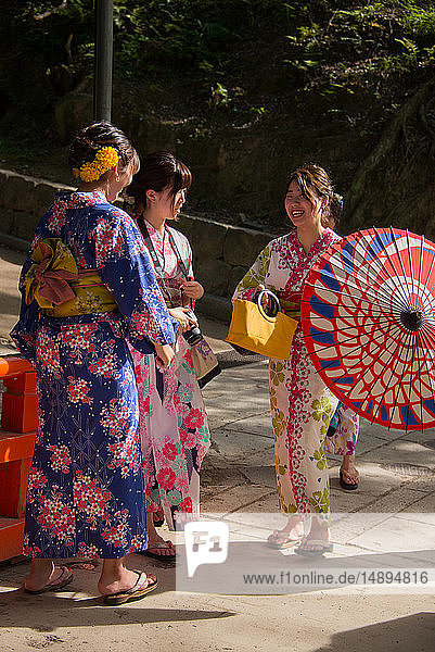 Asia  Japan  Kansai Region  Nara  Fushimi Inari Shrine