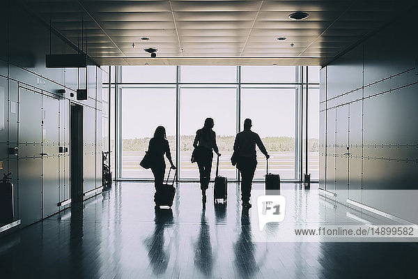 Rückansicht der Silhouette von Geschäftskollegen  die beim Gehen im Korridor am Flughafen Gepäck ziehen